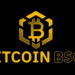 Bitcoin BSC Crypto ICO Reaches 50% Of Soft Cap After Raising Almost $2 Millions in 10 Days