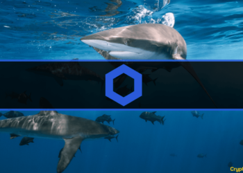 Chainlink Sharks Accumulate $9.6M Worth of LINK in 3 days: Data