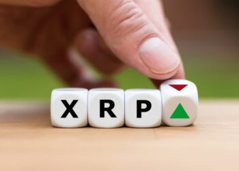 Ripple XRP Joins The Giving Block’s Initiative for Maui Wildfire Relief