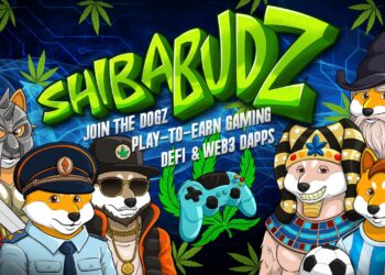 Let’s Compare KuCoin Token (KCS) and eCash (XEC) to Shiba Budz (BUDZ)