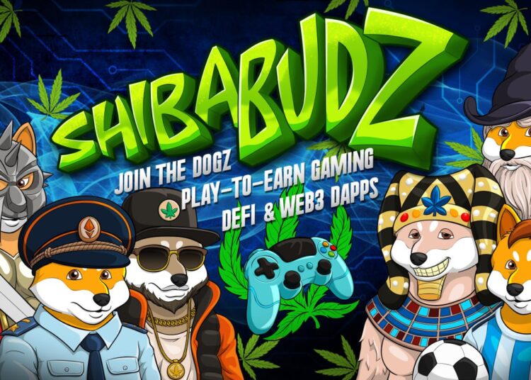 Let’s Compare KuCoin Token (KCS) and eCash (XEC) to Shiba Budz (BUDZ)