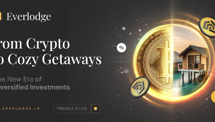 Cardano’s Sevenfold Gain: How Does Everlodge Measure Up?