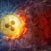 Legal Expert Questions XRP Appeal Prospects