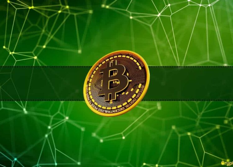 Bitcoin Addresses Holding Over 1,000 BTC Drop to a 4-Year Low