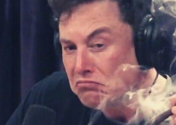 Musk Funded Dogecoin, Contemplated Blockchain Social Media Platform