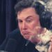 Musk Funded Dogecoin, Contemplated Blockchain Social Media Platform