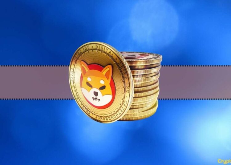 Texans Allowed to Pay Their Solar Panel Bills in SHIB