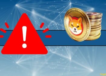 SHIB Official Issues a Warning on Suspicious Partnerships Involving Shiba Inu