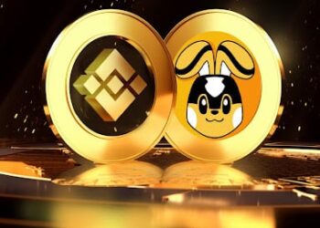 Can Binance Coin (BNB) Compete With Pikamoon’s 100x Potential?