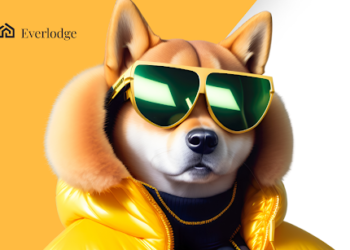 Shiba Inu’s Shibarium Surge, XRP’s Pending Ripple Lawsuit Verdict, and Everlodge Leads Investment Trend