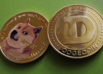 Crypto Holders Rejoice: Dogecoin Profitability Soars to 42% Amid Market Chaos