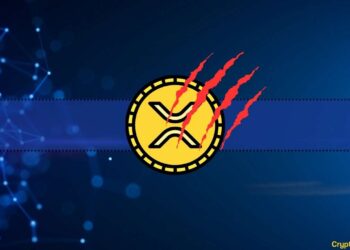 Is Ripple Under Attack? Community Member Reveals Signs of Coordinated XRP Offensive