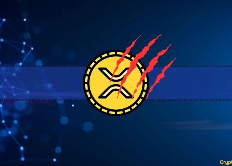 Is Ripple Under Attack? Community Member Reveals Signs of Coordinated XRP Offensive