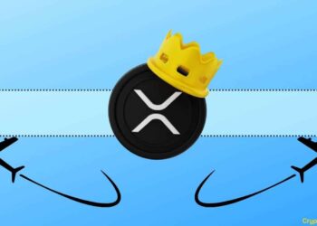 Niche Ripple (XRP) Use Case You’ve Never Heard About