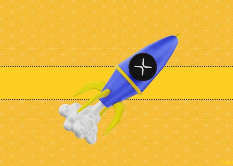 Expert Makes Outrageous Ripple (XRP) Price Prediction but Is It Out of Touch?