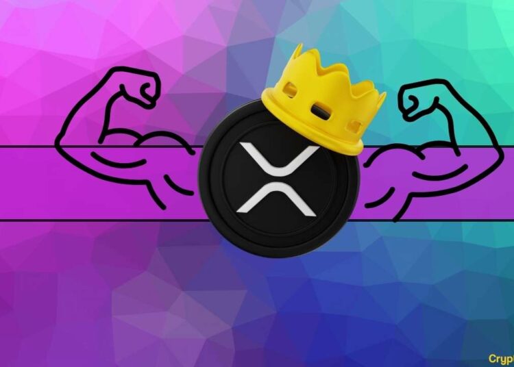 Ripple (XRP) Becomes the Top Traded Altcoin on US Crypto Exchanges