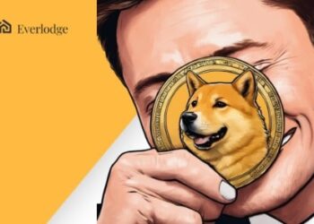 Everlodge Defies Bearish Trend, but What’s Next for Dogecoin and BNB as Crypto Winter Extends?