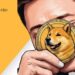 Everlodge Defies Bearish Trend, but What’s Next for Dogecoin and BNB as Crypto Winter Extends?