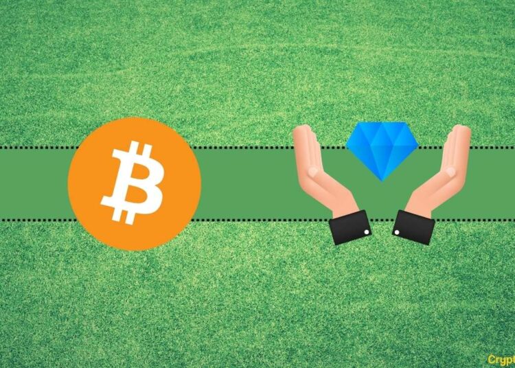 Bitcoin Beats Ripple (XRP), Ethereum (ETH), and Dogecoin (DOGE) in Terms of Average Holding Time