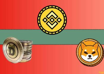 Important Binance Update Concerning Shiba Inu (SHIB) and Dogecoin (DOGE)
