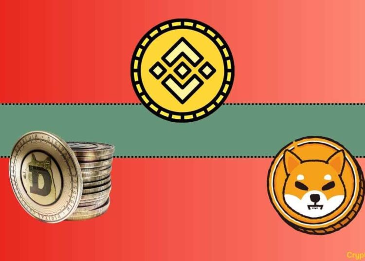 Important Binance Update Concerning Shiba Inu (SHIB) and Dogecoin (DOGE)