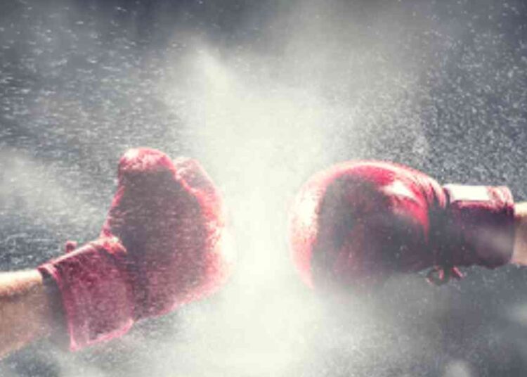 Dillon Danis Partners With Duelbits Ahead Of Boxing Debut Clash With Logan Paul