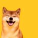 Shiba Inu Unveils LinkedIn Profile for Shibarium Amid 200% Surge in Transactions