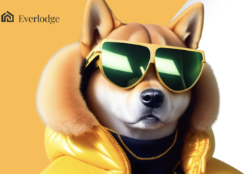 Shiba Inu and This New Coin Are Poised for Price Explosion, While Binance Coin Price Consolidates
