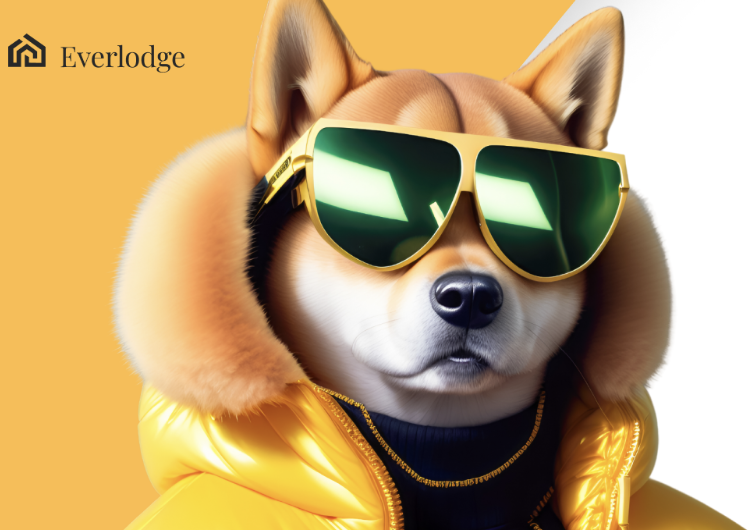 Shiba Inu and This New Coin Are Poised for Price Explosion, While Binance Coin Price Consolidates