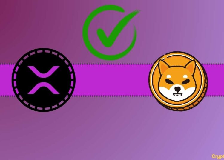 Another Important Partnership Concerning Ripple (XRP) and SHIB