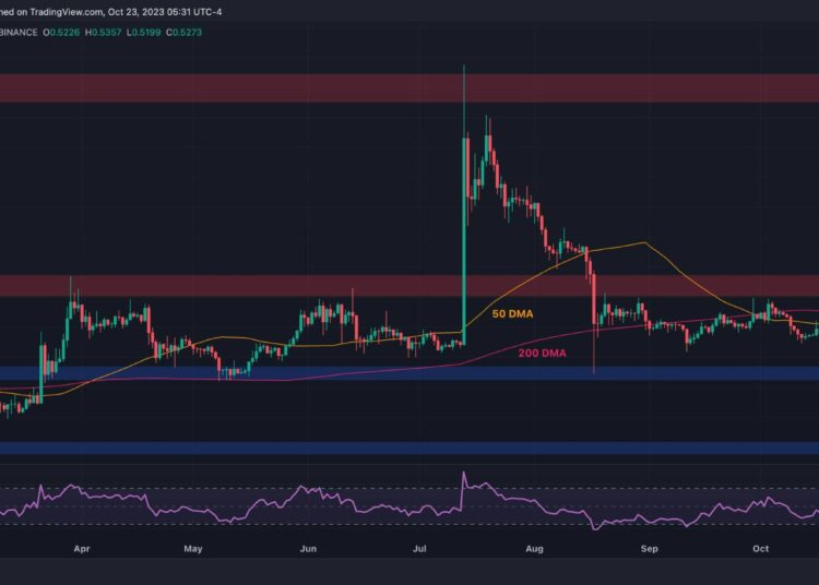 XRP Bull Run Increasingly Possible if This Level Falls: Ripple Price Analysis