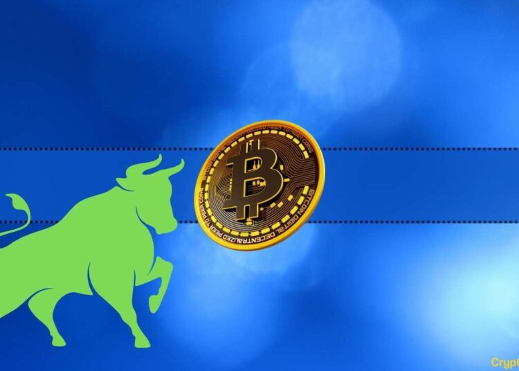 We Asked ChatGPT How High Can Bitcoin Go During the Next Bull Market