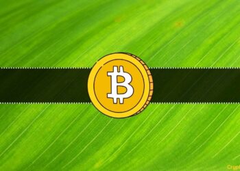 Pro-Ripple Lawyer Bought Bitcoin After This