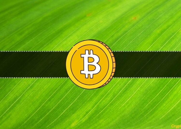 Pro-Ripple Lawyer Bought Bitcoin After This