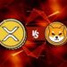 Ripple (XRP) Obliterates Shiba Inu (SHIB) in This Metric, But There’s a Catch