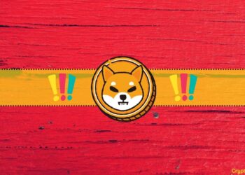 Shiba Inu (SHIB) Team With Massive Warning
