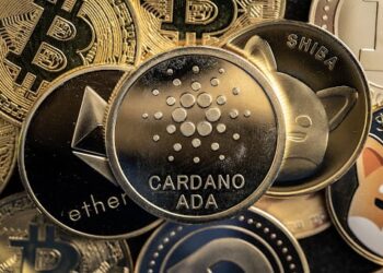 Market Movement Shows QUBE, ADA and XRP are Promising Investments