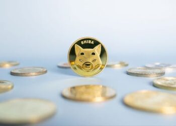 This New Memecoin Looks More Promising Than Shiba Inu (SHIB)