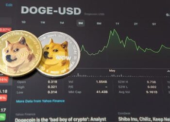 Is BorroeFinance Poised to Overtake Dogecoin $DOGE and Cardano $ADA In October?