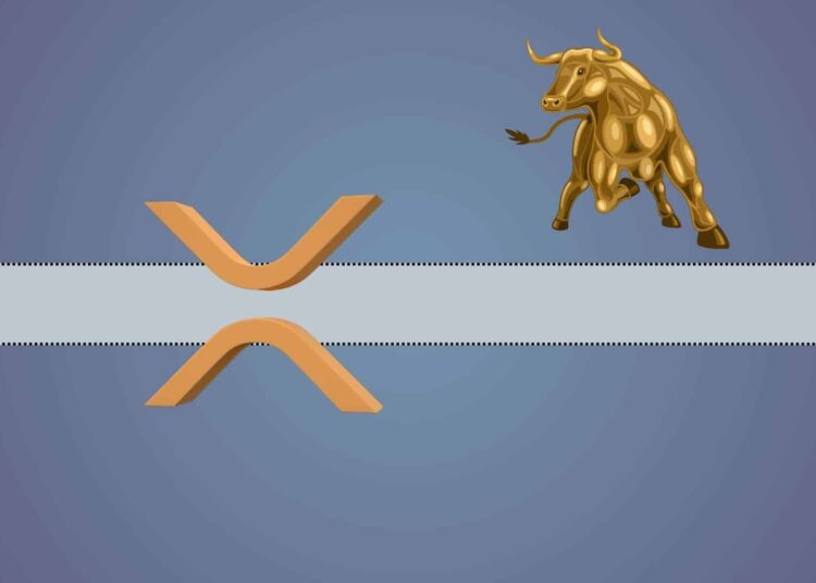 The Reason Ripple (XRP) is Very Bullish According to Wall Street Expert