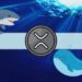 These Two Groups of Ripple Holders Hold Billions of XRP and Keep Buying: Details