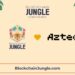 How Blockchain Jungle Attendees Will All Receive Bitcoin
