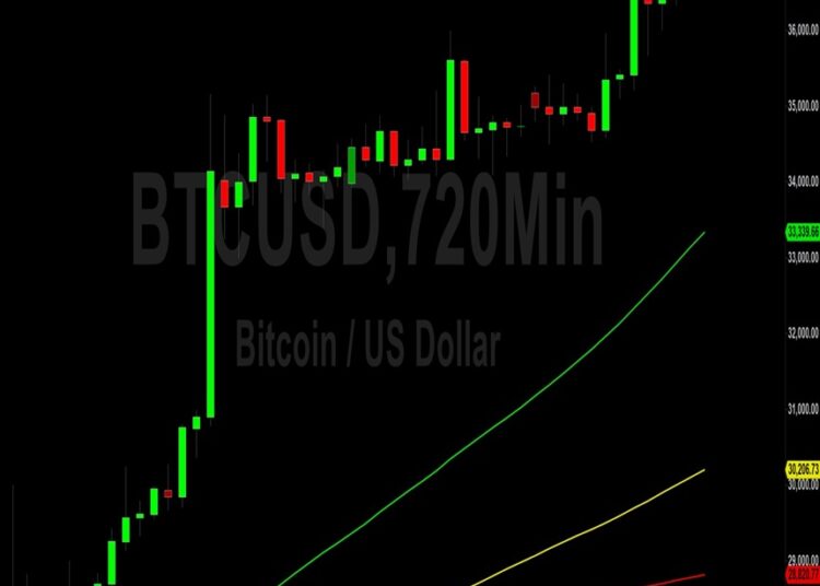 Bitcoin (BTC) Price Analysis: Bulls Resume Climb and Test 37235 – 12 November 2023