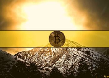Bitcoin Options Open Interest See All-Time High on This Exchange