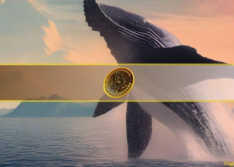 Dormant Bitcoin Whale Transfers $137 Million in BTC After 4 Years