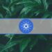 Cardano’s (ADA) Current Trend Mirrors 2018-2020 Phase; Can it Reach $0.75 by December’s End?