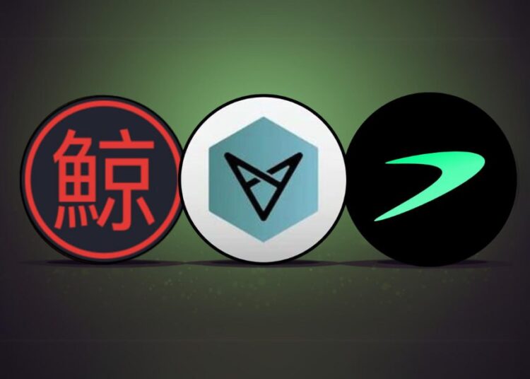 Altcoins Kujira (KUJI), VectorSpace (VXV), and Tellor (TRB) surge higher