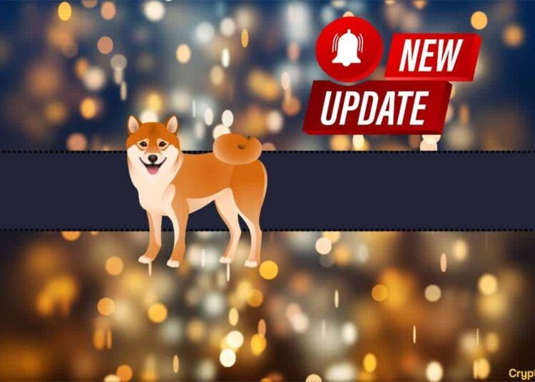 Shiba Inu Introduces an Important Feature: Details