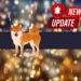 Shiba Inu Introduces an Important Feature: Details