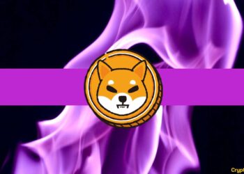 Shiba Inu Burn Rate Explodes 1,300%, What Does it Mean for SHIB’s Price?
